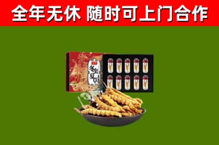 陈仓回收冬虫夏草价格